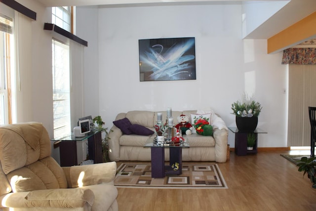 living room with wood-type flooring