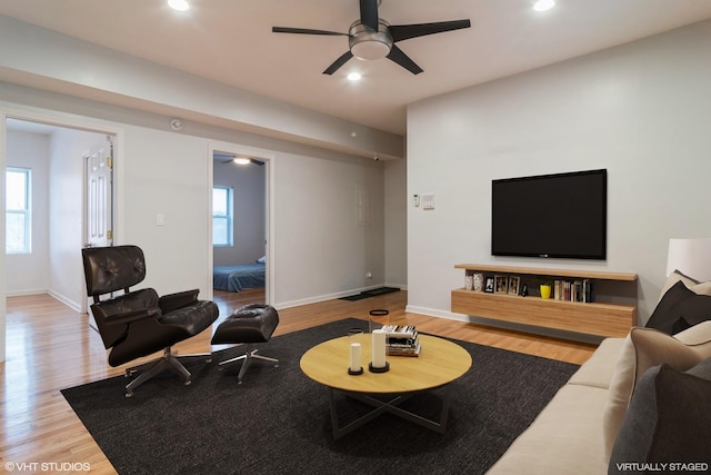 living room with ceiling fan and wood-type flooring