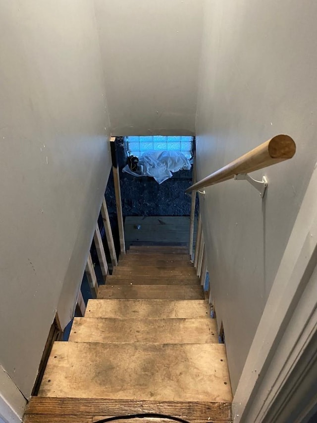 stairway with wood-type flooring