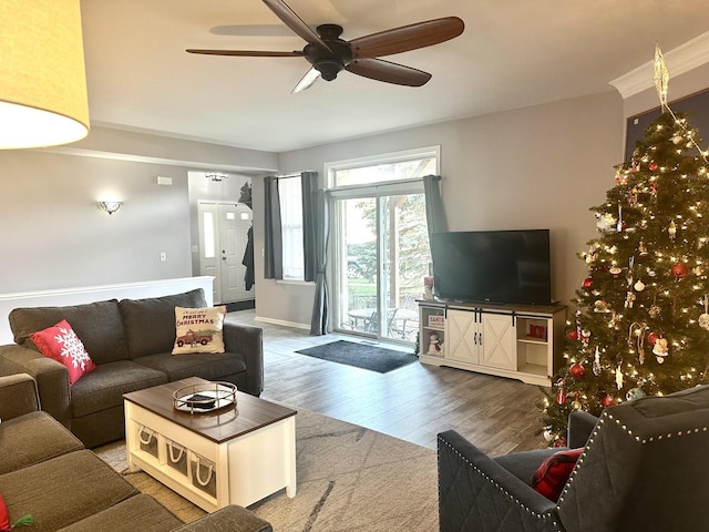 living room featuring ceiling fan and wood-type flooring