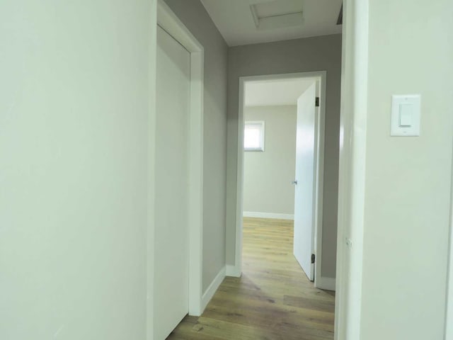 hallway featuring light hardwood / wood-style flooring