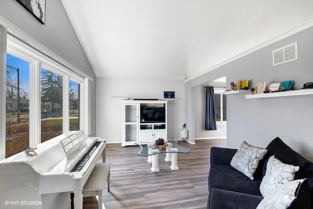 living room with wood-type flooring and lofted ceiling