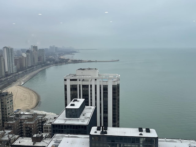 water view featuring a beach view