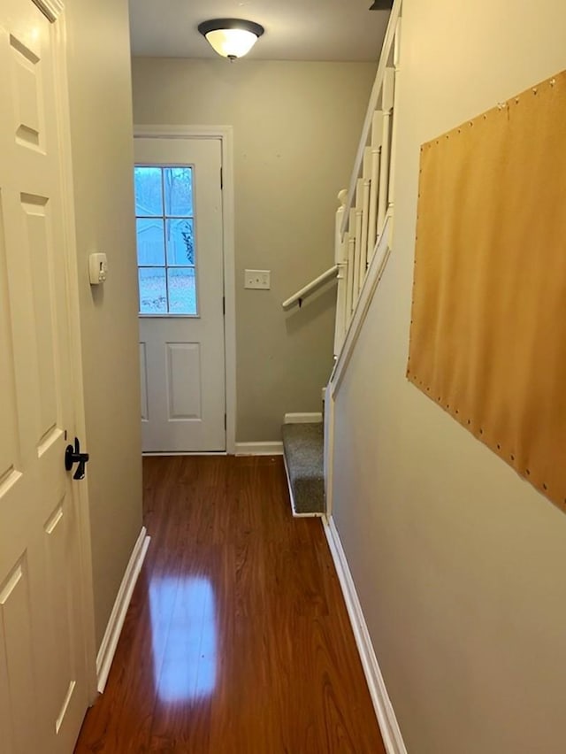 doorway to outside with dark wood-type flooring