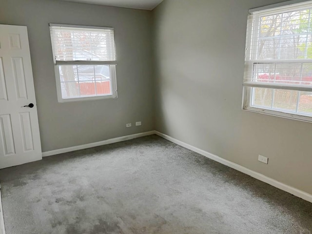 unfurnished room with carpet and a wealth of natural light