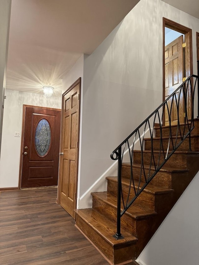 foyer entrance featuring dark wood-type flooring