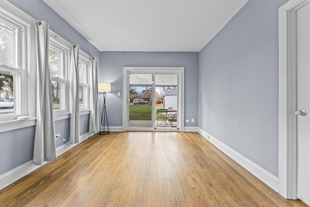 spare room featuring wood-type flooring and a wealth of natural light