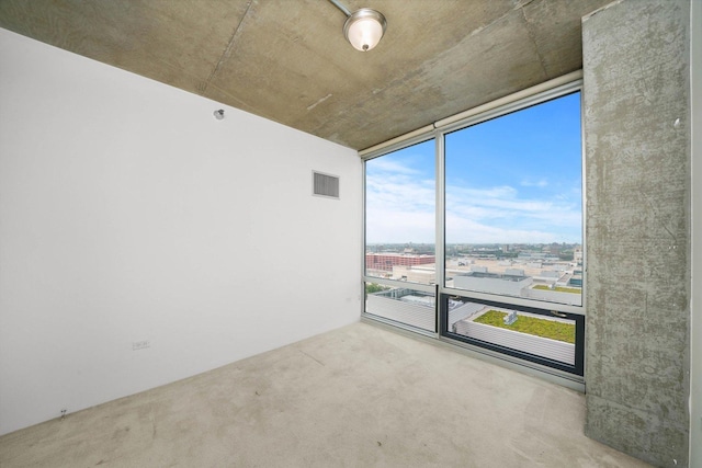 empty room featuring carpet flooring, floor to ceiling windows, and a healthy amount of sunlight