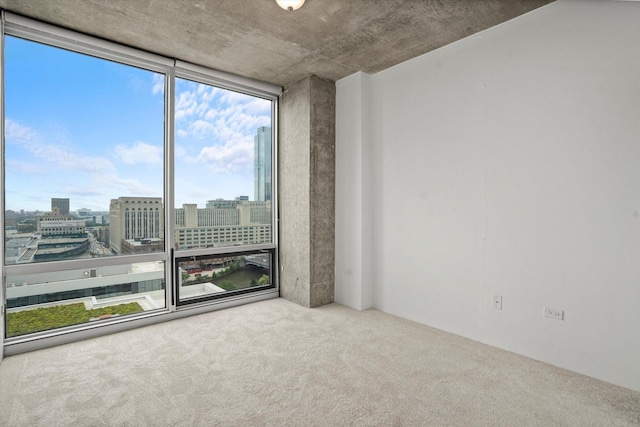 empty room featuring carpet flooring and expansive windows