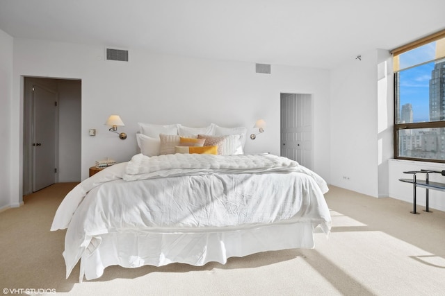 carpeted bedroom with a closet