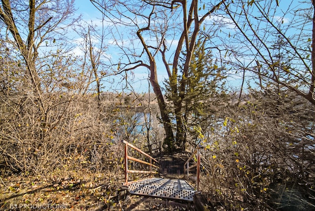 view of yard with a water view