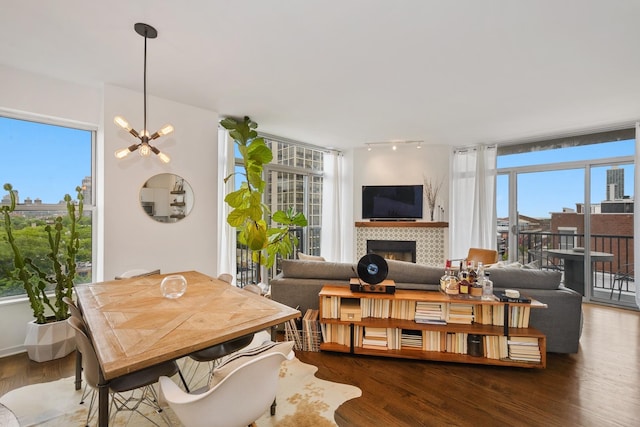 interior space with a fireplace, dark wood-type flooring, and plenty of natural light