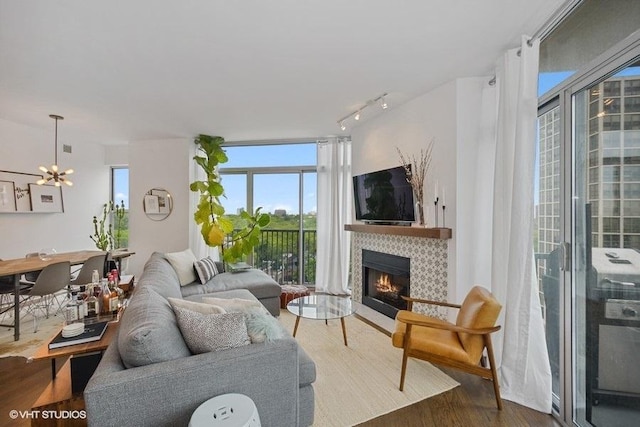 living room featuring floor to ceiling windows, a chandelier, track lighting, a tile fireplace, and hardwood / wood-style flooring