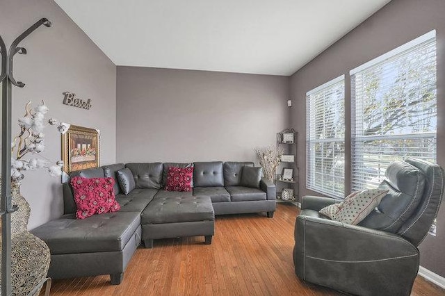 living room with hardwood / wood-style floors