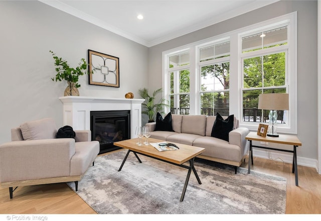 living room with ornamental molding, light hardwood / wood-style flooring, and a healthy amount of sunlight