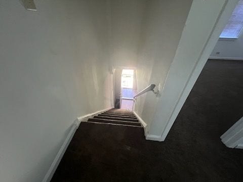 staircase with carpet floors