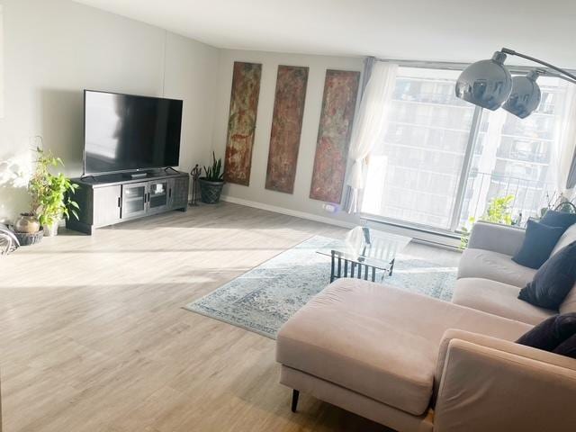 living room featuring light hardwood / wood-style floors