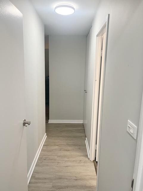 hall featuring light hardwood / wood-style floors