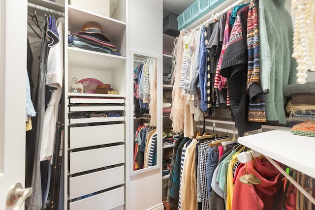 view of spacious closet