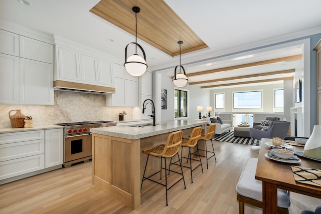 kitchen with high end stove, a sink, backsplash, open floor plan, and a raised ceiling