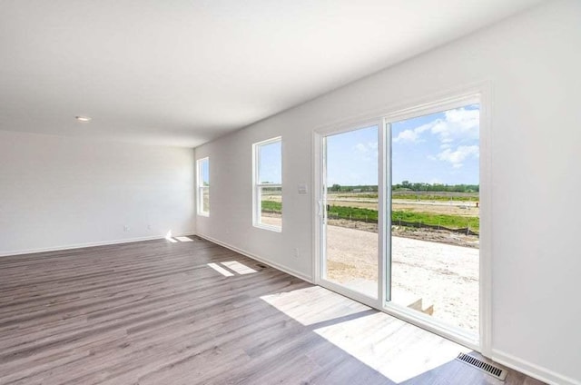 spare room with wood-type flooring