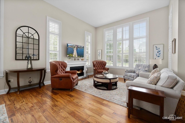 sitting room featuring plenty of natural light and wood-type flooring