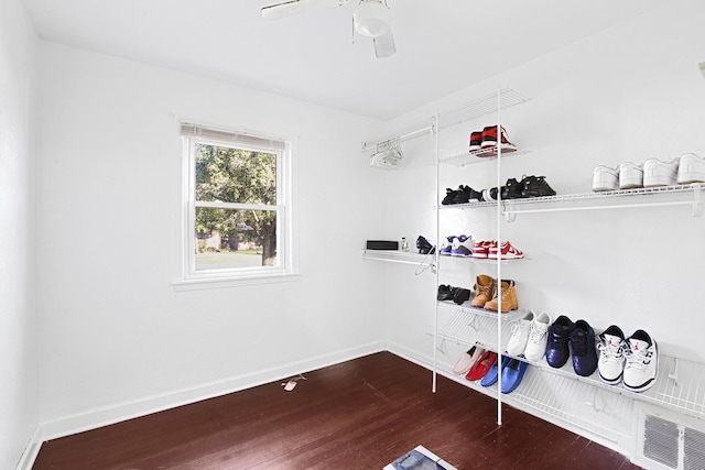 spacious closet featuring dark hardwood / wood-style flooring