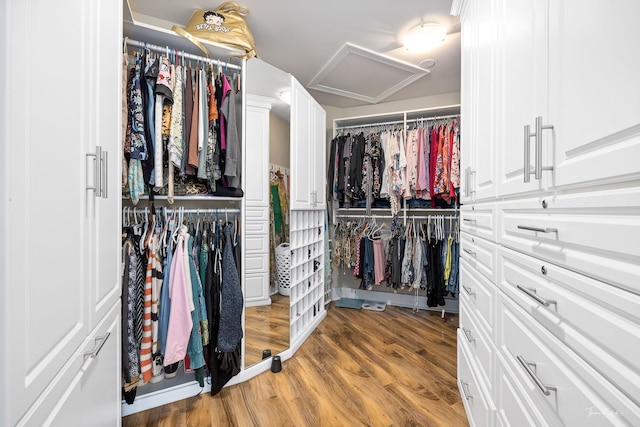 spacious closet with attic access and light wood-style floors