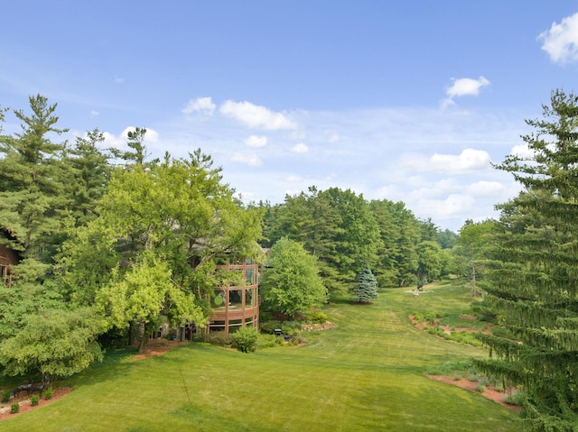 view of yard with a rural view