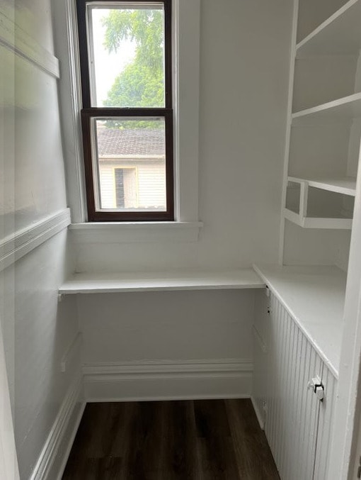 interior space with dark wood-type flooring