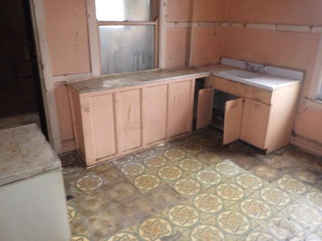 kitchen featuring sink and light brown cabinets