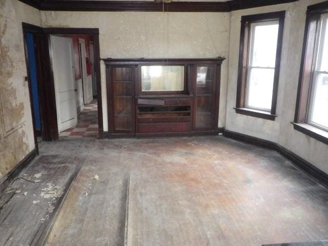 view of unfurnished living room