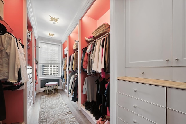 spacious closet with light hardwood / wood-style flooring