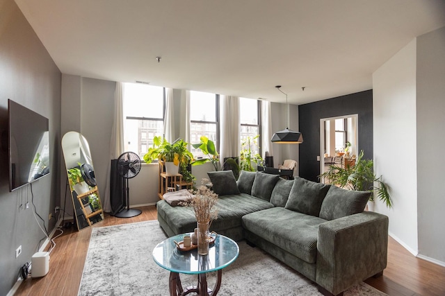 living room with light hardwood / wood-style flooring