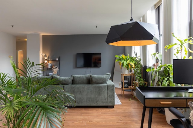 living room with light wood-type flooring