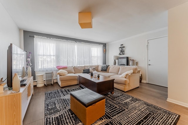 living room with radiator heating unit and hardwood / wood-style floors