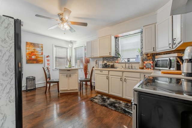 kitchen featuring sink, ceiling fan, crown molding, and dark hardwood / wood-style floors