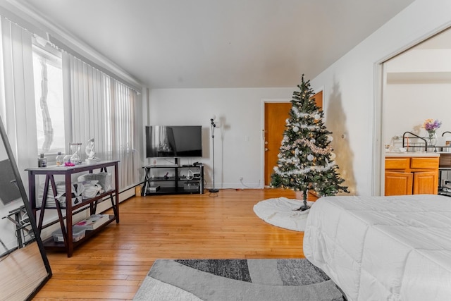 bedroom with light hardwood / wood-style flooring