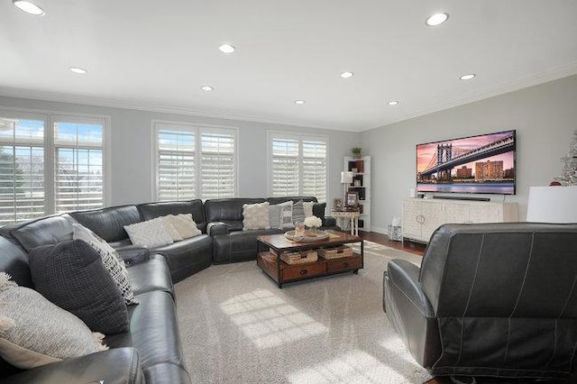 living room with ornamental molding