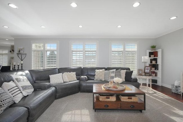 living room with ornamental molding