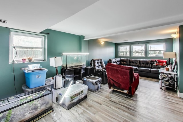 living room with plenty of natural light and wood-type flooring