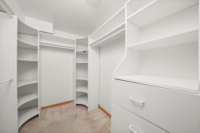 walk in closet with light carpet