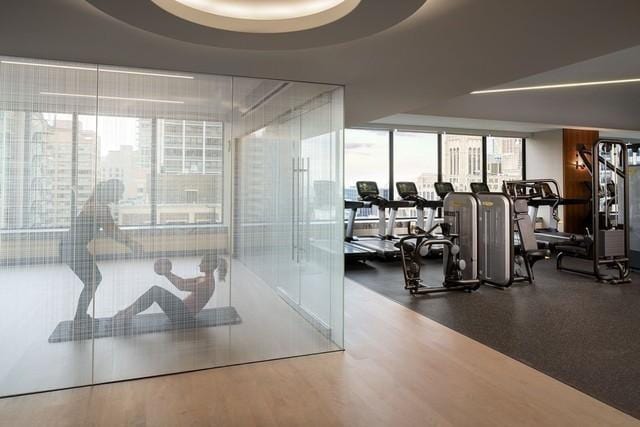 gym with a raised ceiling and hardwood / wood-style floors