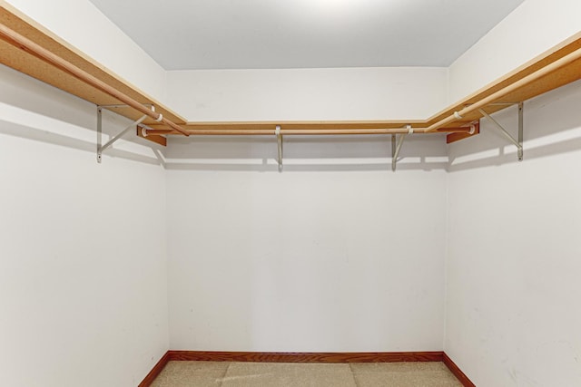 spacious closet featuring light colored carpet