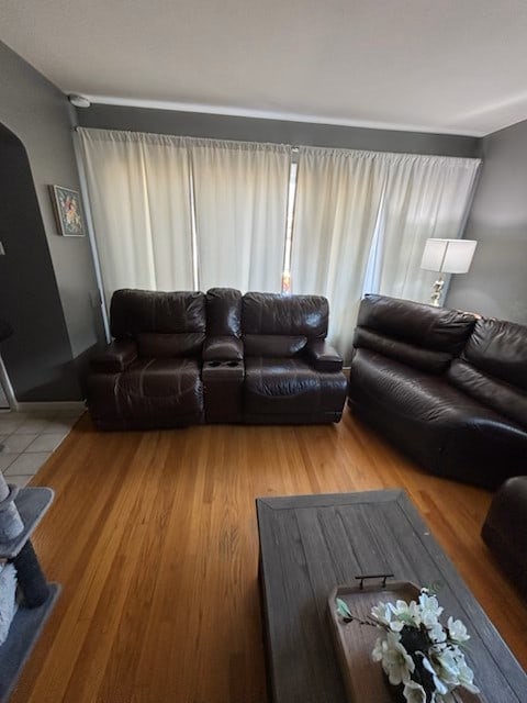 living room with wood-type flooring