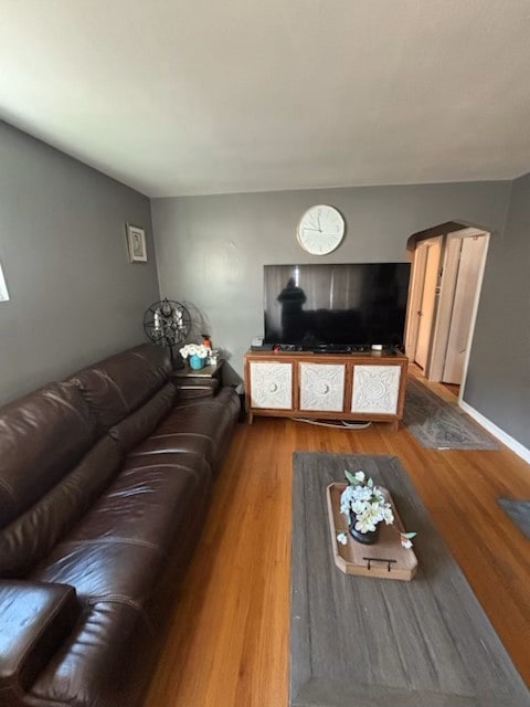 living room featuring hardwood / wood-style floors