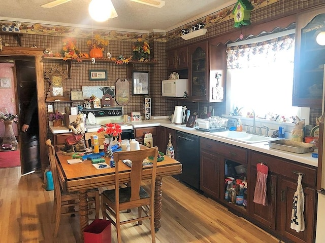 kitchen with white appliances, light hardwood / wood-style flooring, dark brown cabinetry, and sink