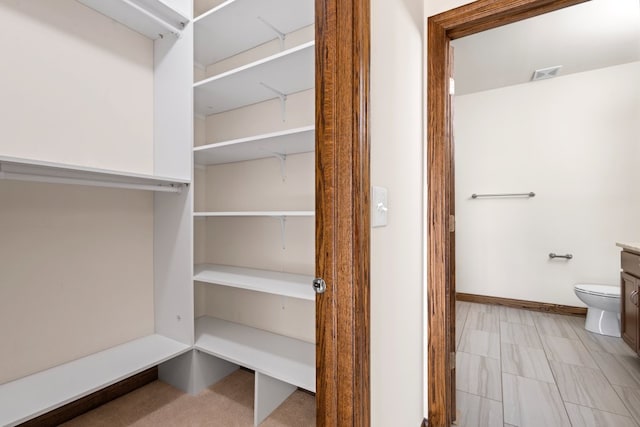 view of walk in closet