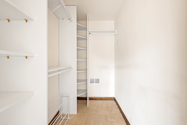 spacious closet featuring light carpet