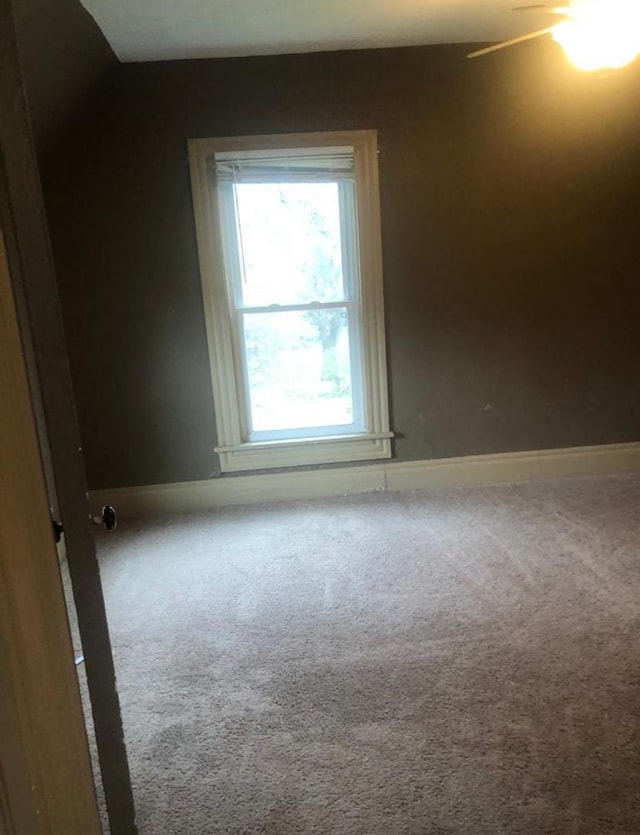 spare room with carpet